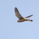 생태세상 이미지