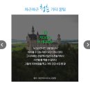 청춘덮밥 이미지
