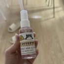 김앤정동물병원 이미지