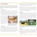 어린이 세계사 이야기 이미지