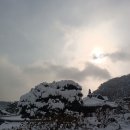 우둠지 | *알파카도 보고 빵도 먹고! 경기포천 빵맛집 우둠지제빵소 가보기 (+주차,가격)