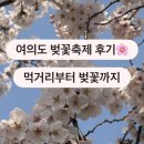 칠성자전거 | 여의도 벚꽃축제 다녀왔어요 🌸 미식정원 먹거리부터 윤중로까지 솔직 후기