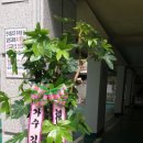 리틀차이나