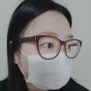 국산 덴탈마스크 그린비 4중 일회용마스크 사용 후기!