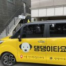 독핏코리아 이미지