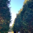 창남목장 이미지