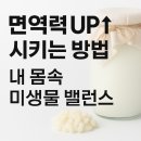 면역력 UP↑ 시키는 방법 | 그릭요거트와 티벳버섯(케피어)
