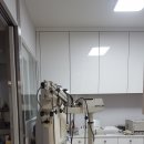 한밭동물병원 이미지