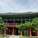 바다와소나무 Daum카페