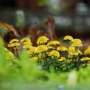 성주사 입구 이미지