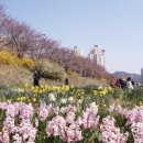 충훈동-1 이미지