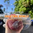 [하와이 맛집] 할레이와볼(HALEʻIWA BOWLS) 후기✨| 노스쇼어 아사이볼 맛집 / 하와이 여행 필수 코스😎