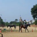 당진 승마장 이미지