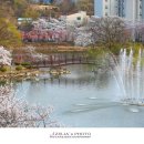 영산 연지못 이미지