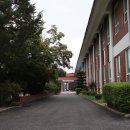 강남-247 이미지