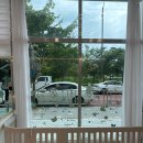 강아지살롱 이미지