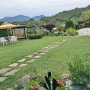 스테이수목 이미지