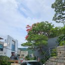 범안셀프주유소 이미지