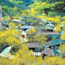 밤재 등산로 이미지