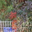 구리둘레길(1코스) 이미지