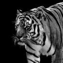 몸사랑마음사랑한의원 이미지