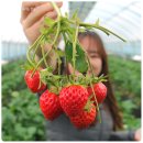 J·H농장 이미지