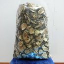 여주-0913 이미지