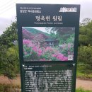 담양나드리 Daum카페