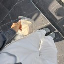 피그 패밀리 이미지