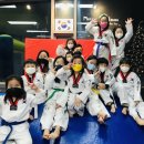 새봄태권도 이미지