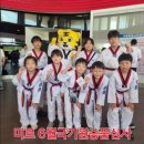 용인대 미르 태권도장 이미지