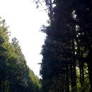 펜션숲속의궁전1 이미지