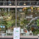 성남대로997번길 이미지