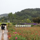 제9강 2025.10.15(수) 연천 임진강 댑싸리 정원(공원) 출사 (예정) 이미지