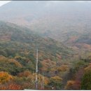 단풍약국 이미지