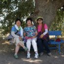 고대1100 이미지