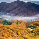 단풍