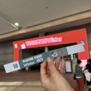 캣 | 2026 가낳지모, 코엑스 펫박람회 케이캣페어 후기