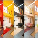 나무나무 이미지