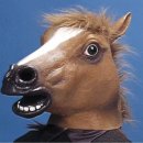 노이하우스 민박 | 여행 중 최고를 뽑으라면 여깁니다. 여길 보십시오.