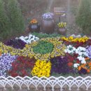 교문2동 행정복지센터 앞 이미지