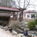 숲속에 아침 이미지