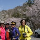 해남공원 이미지