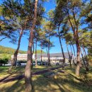 구례중학교 이미지