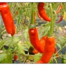 만호농장 이미지