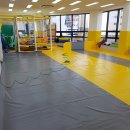 용인대중앙태권도 이미지