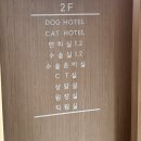 내사랑똥강아지 | 강아지 담낭 수술 후기 2ㅣ강아지 담낭문합술 담석 담낭슬러지 담낭점액종