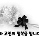 찐청춘님의 부고를 안타까운 마음으로 알립니다 이미지