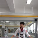 용인대 금호태권도 이미지