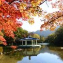 행복 이미지